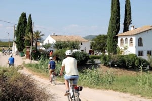 Barcelona: Visita guiada en bicicleta y vino - Viñedos del Penedès