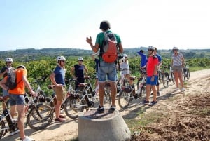 Barcelona: Visita guiada de bicicleta e vinho - Vinhedos de Penedès