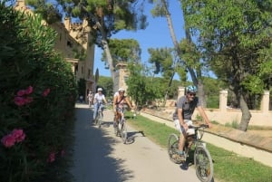 Barcelona: Visita guiada de bicicleta e vinho - Vinhedos de Penedès