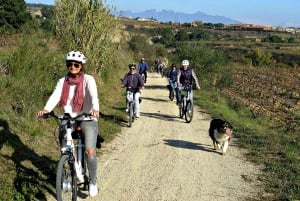 Barcelona: Guidet sykkel- og vintur - vingårdene i Penedès