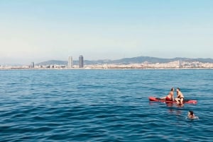 Barcelona: paseo en barco por la costa con aperitivos y cava