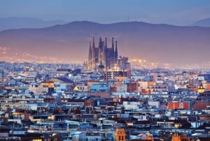 Barcelona Cable Car Sky Views, Magic Fountain & Castle Visit