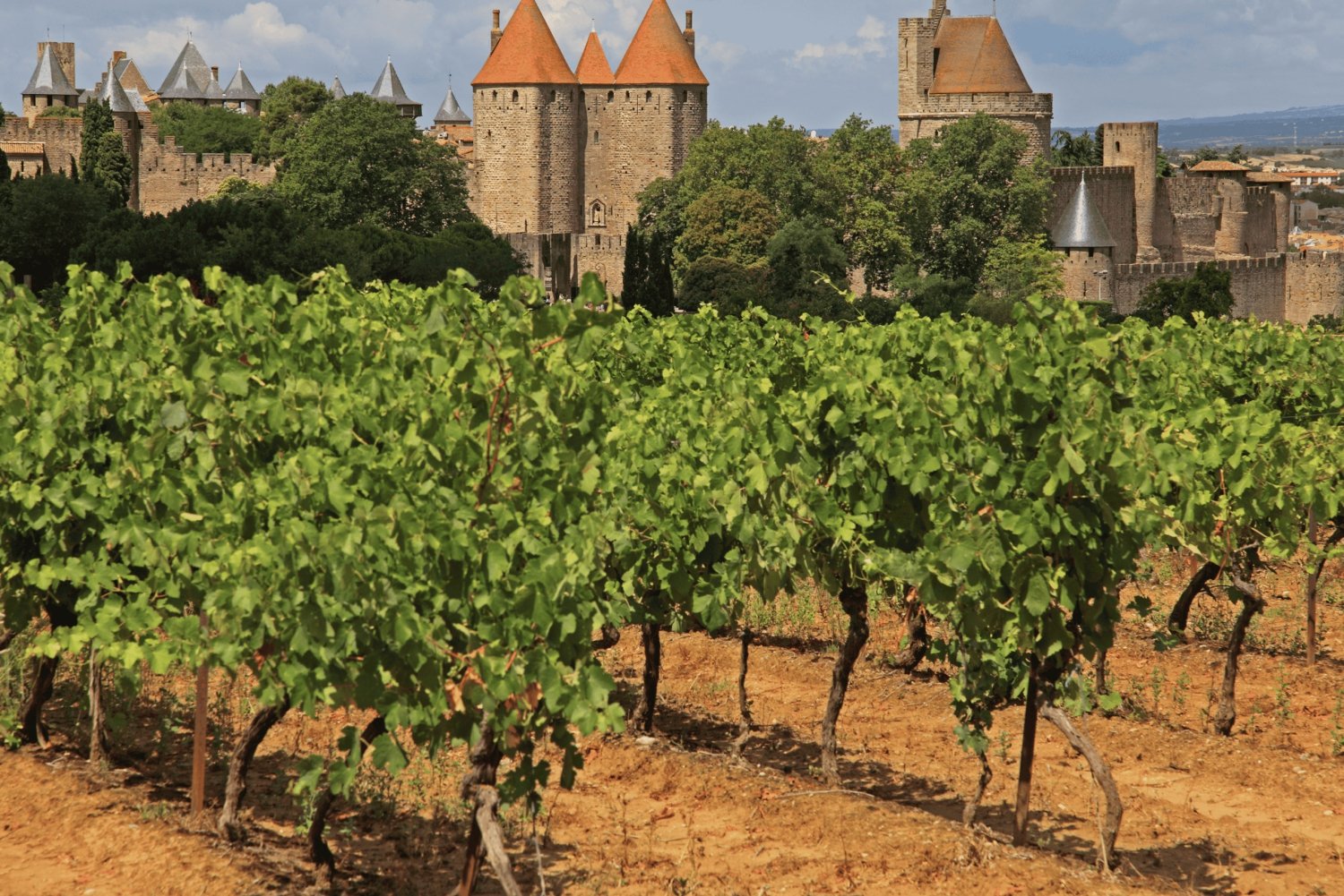 Barcelona: Carcassonne & Girona Rundresa