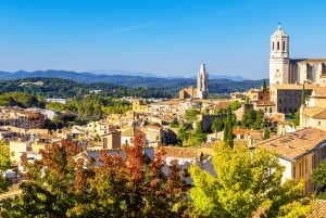 Barcelona: Carcassonne og Girona-tur