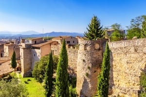 Barcelona: Carcassonne og Girona-tur