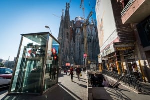 Barcelona Card: 25+ museer och gratis kollektivtrafik