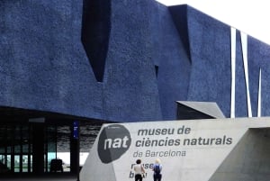 Barcelona Card: Mer enn 25 museer og gratis offentlig transport