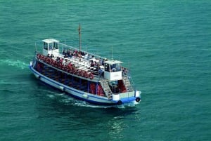 Barcelona Card: Mer enn 25 museer og gratis offentlig transport