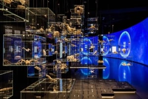 Barcelona Card: Mer enn 25 museer og gratis offentlig transport