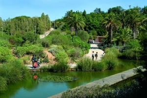 Barcelona Card: Mer enn 25 museer og gratis offentlig transport