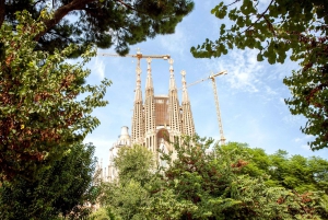 Barcelona Card: 25+ Museums and Free Public Transportation