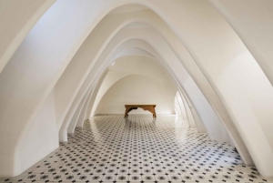 Barcelona: visita a la Casa Batlló y museo White Rabit opcional
