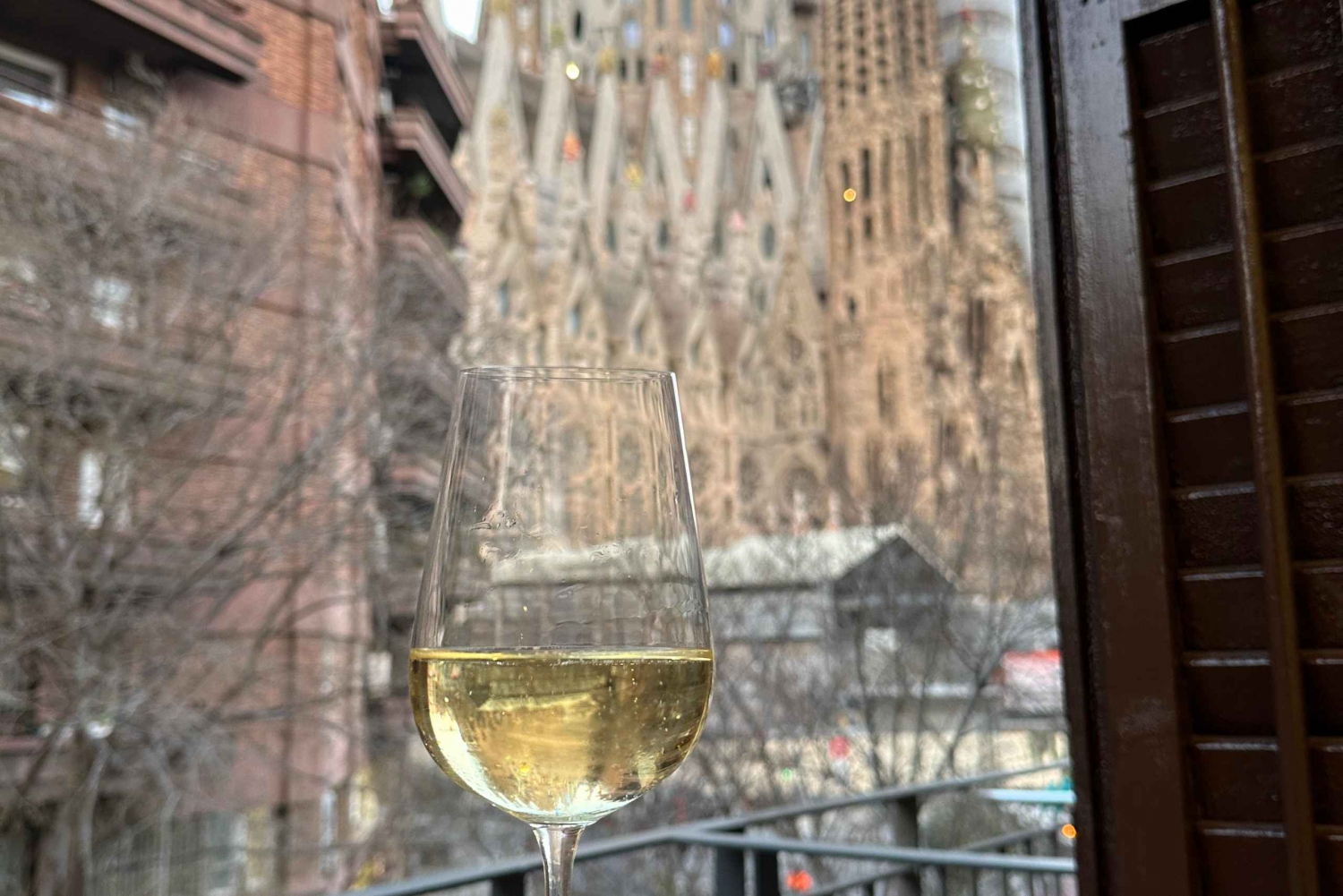 Barcelona: Cata de vinos med utsikt över Sagrada Familia