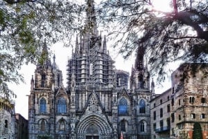 Barcelona Cathedral: Exclusive walking tour & entry tickets.