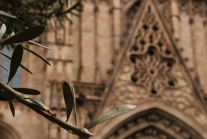 Barcelone : visite guidée de la cathédrale de Barcelone
