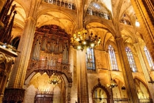 Barcelonan katedraali: Katedraali: Lippu, opastettu kierros ja VR Experience