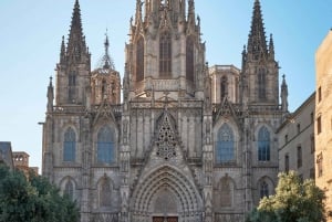 Barcelona Cathedral: Ticket, Guided Tour and VR Experience