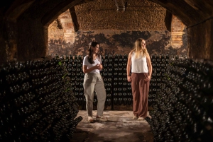 Barcelona: Cavas Hill – Weingut-Tour & Käseverkostung