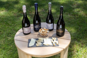 Barcelona: Cavas Hill – Weingut-Tour & Käseverkostung