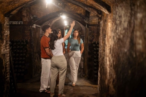 Barcelona: Cavas Hill – Weingut-Tour & Käseverkostung