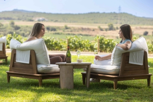 Barcelona: Cavas Hill – Weingut-Tour & Käseverkostung