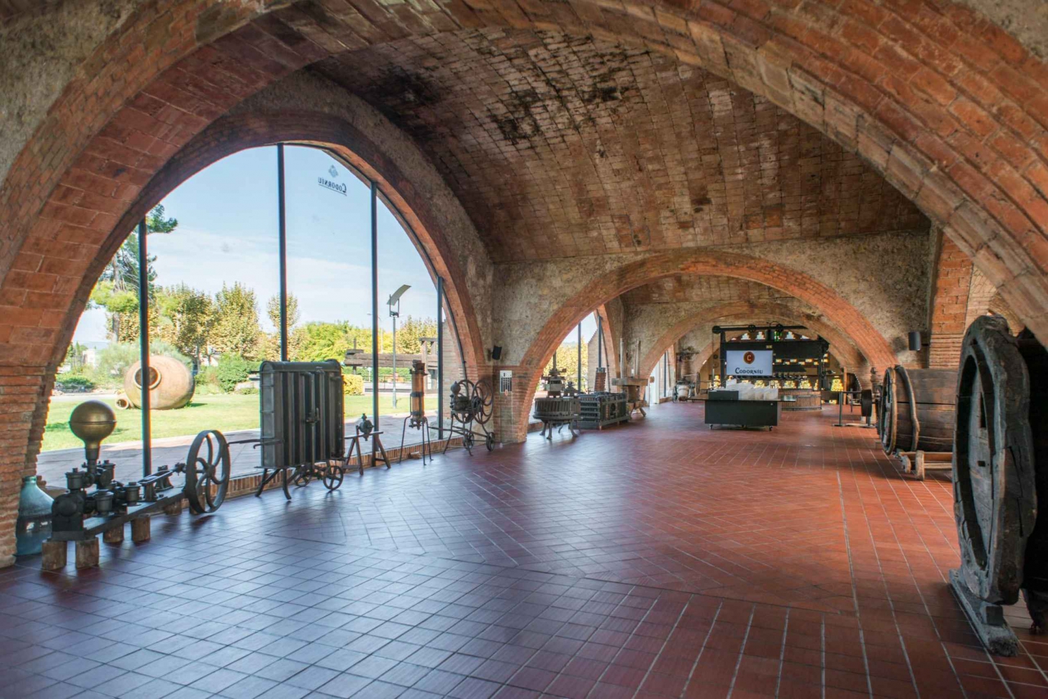 Barcelona: Caves Codorniu Winery Tour Based on Anna's Life
