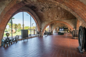 Barcelona: Caves Codorniu Winery Tour baseret på Annas liv