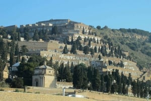 Barcelona: Cemetery Tour - Gothic Graves & Local History