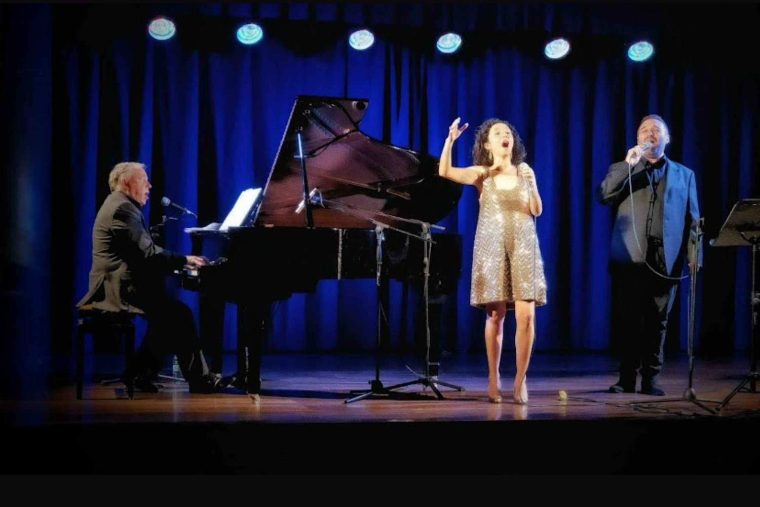 Barcellona: Concerto di Natale di Broadway al Museu Núria Pla