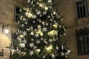 Barcelona: Sykkeltur med julelys og markeder