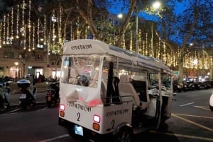 Barcelona: Privétour kerstverlichting per Eco Tuk Tuk