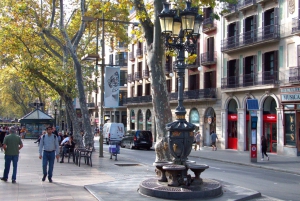 Barcelona City: El Raval and Gothic Quarter Audio Tour