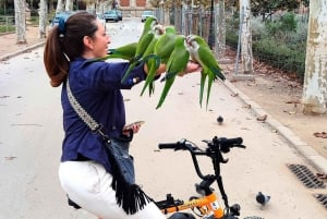 Barcelona: Stadens höjdpunkter Cykel-, elcykel- eller elscootertur