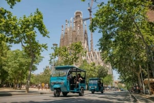 Barcelona: City Highlights Private Tuk-Tuk Tour