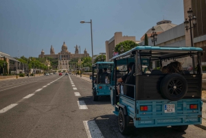 Barcelona: City Highlights Private Tuk-Tuk Tour