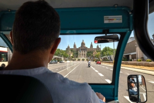 Barcelona: City Highlights Private Tuk-Tuk Tour
