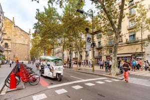 Barcelona: Privat byrundtur med øko-tuk-tuk