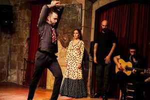 Barcelona: City Tour & Flamenco Show with Wine & Tapas