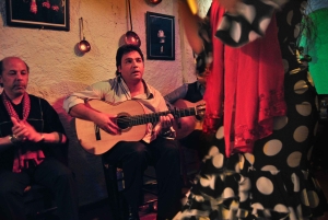 Барселона: экскурсия по городу и шоу фламенко с вином и тапас