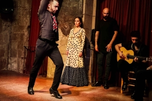 Барселона: экскурсия по городу и шоу фламенко с вином и тапас