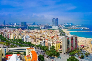 Barcelona: Coastline E-Bike and Wine Tasting Tour