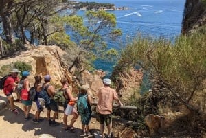 Barcelona: Costa Brava Wanderung, Schnorcheln & Klippensprung mit Mittagessen