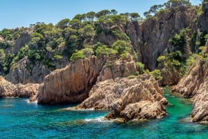 Barcelona: Wycieczka na Costa Brava, nurkowanie z rurką i skok z klifu z lunchem