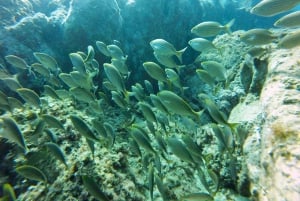 Barcelona: Costa Brava Kayak, Snorkel & Cliff Jump & Lunch