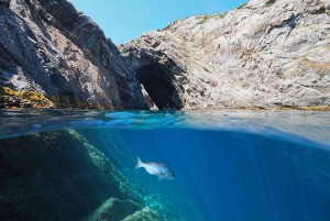 Barcelona: Costa Brava Kayak, Snorkel & Cliff Jump & Lunch