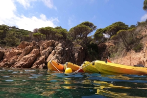 Barcelona: excursión en kayak y snorkel por la Costa Brava con almuerzo incluido.