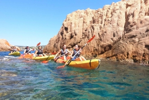 Barcelona: excursión en kayak y snorkel por la Costa Brava con almuerzo incluido.