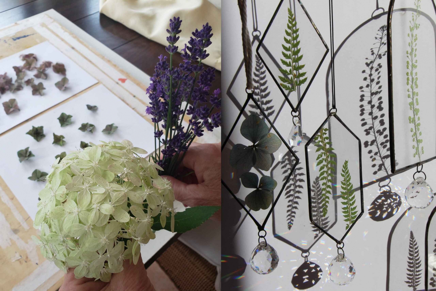 BARCELONA: Create your own Herbarium Workshop!!