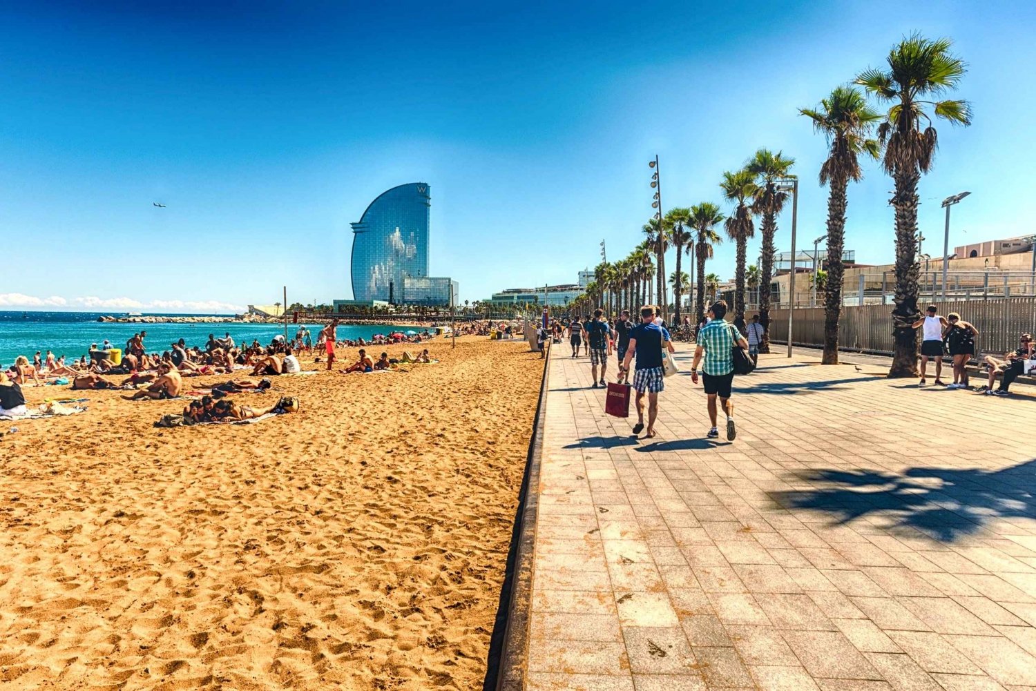 Barcelona: Aanpasbare fiets- of wandeltour met gids