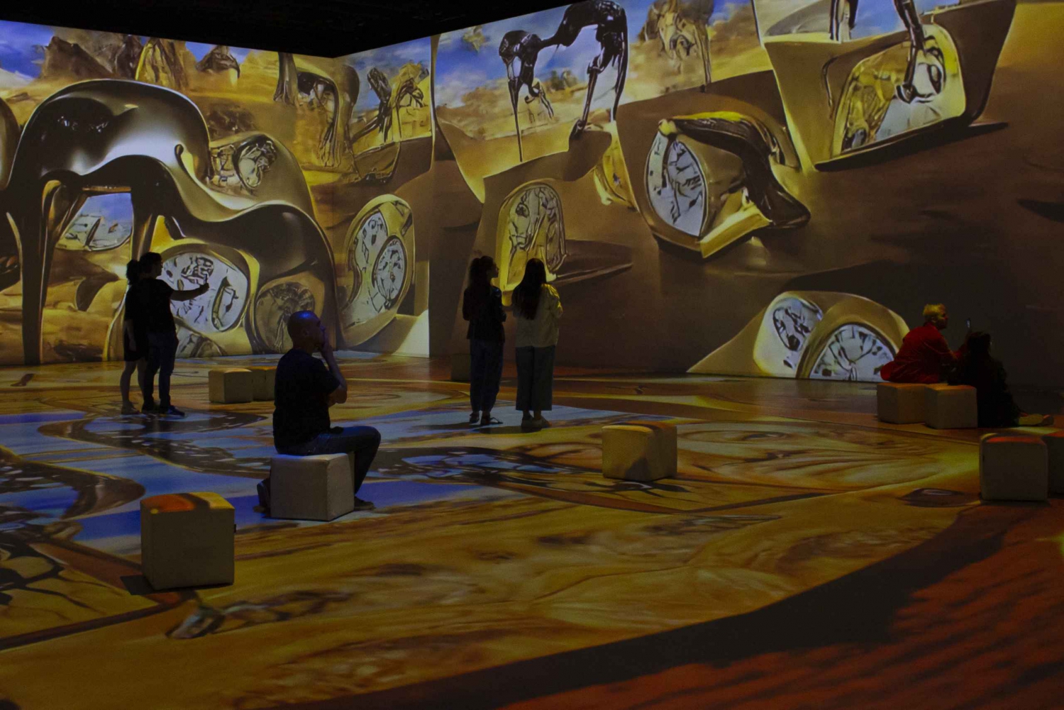 Barcelona: Dalí Cybernetic Exhibition Entry Ticket